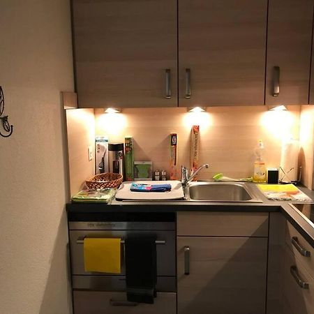 Beautiful 2.5 Room Apartment In Lucerne ภายนอก รูปภาพ